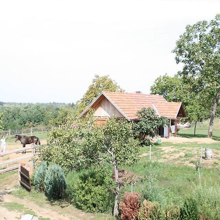 Farmica, Bed&Breakfast, Bazen Izdvojen Nekoliko Minuta Hoda Ðurđevac Pokój zdjęcie