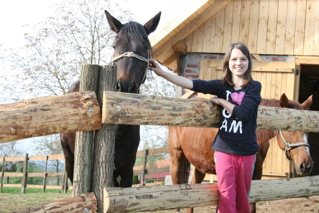 Farmica, Bed&Breakfast, Bazen Izdvojen Nekoliko Minuta Hoda Ðurđevac Zewnętrze zdjęcie