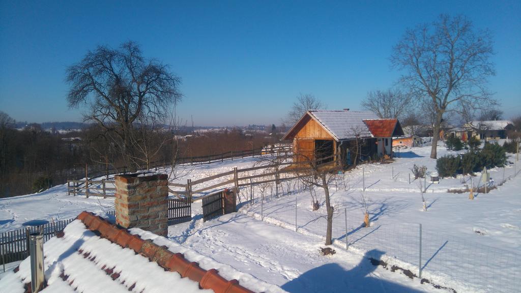 Farmica, Bed&Breakfast, Bazen Izdvojen Nekoliko Minuta Hoda Ðurđevac Zewnętrze zdjęcie